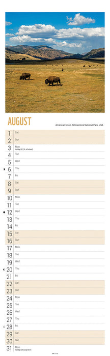 WWF Beautiful World 2026 Slimline Wall Calendar