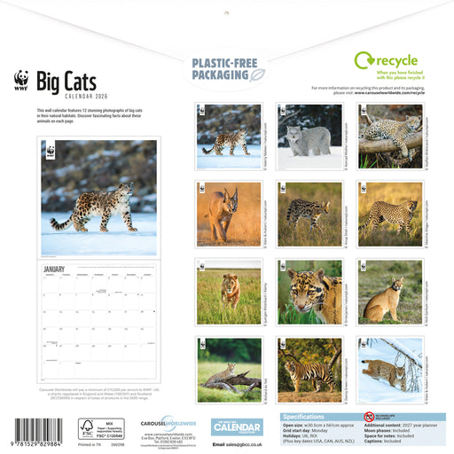 WWF Big Cats 2026 Square Wall Calendar