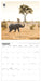 WWF Elephants 2026 Square Wall Calendar