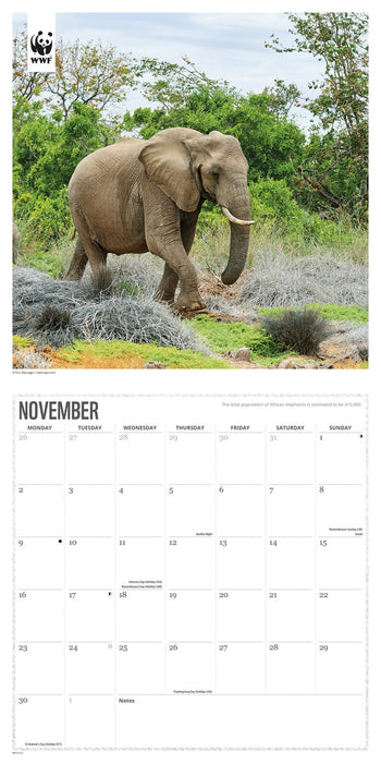 WWF Elephants 2026 Square Wall Calendar