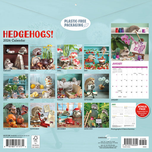 Hedgehogs 2026 Square Wall Calendar