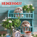 Hedgehogs 2026 Square Wall Calendar