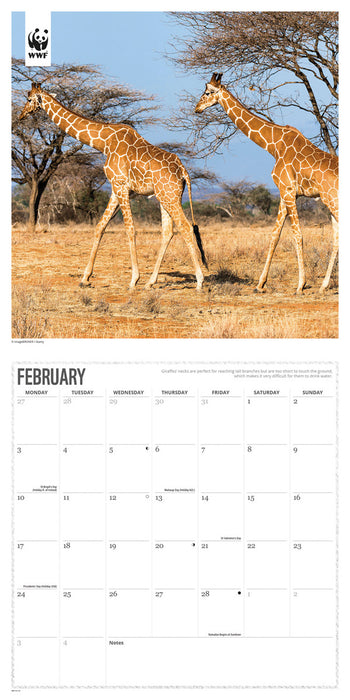 2025 WWF Giraffes Wall Calendar