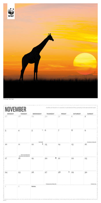 2025 WWF Giraffes Wall Calendar