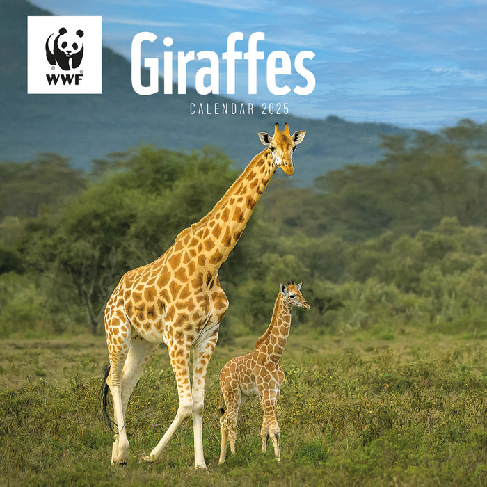 2025 WWF Giraffes Wall Calendar