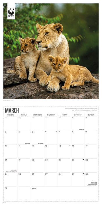 2025 WWF Big Cats Wall Calendar