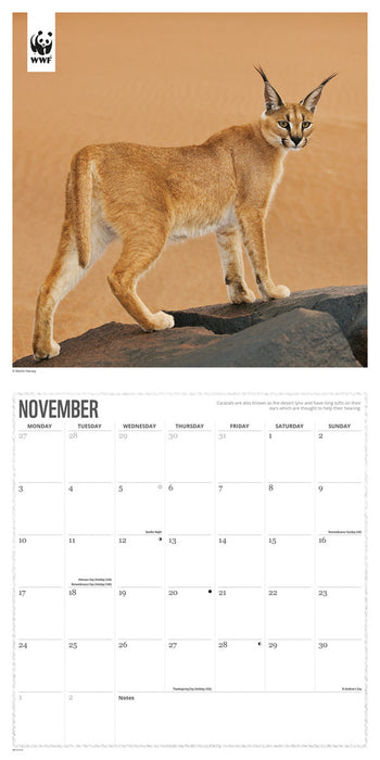 2025 WWF Big Cats Wall Calendar