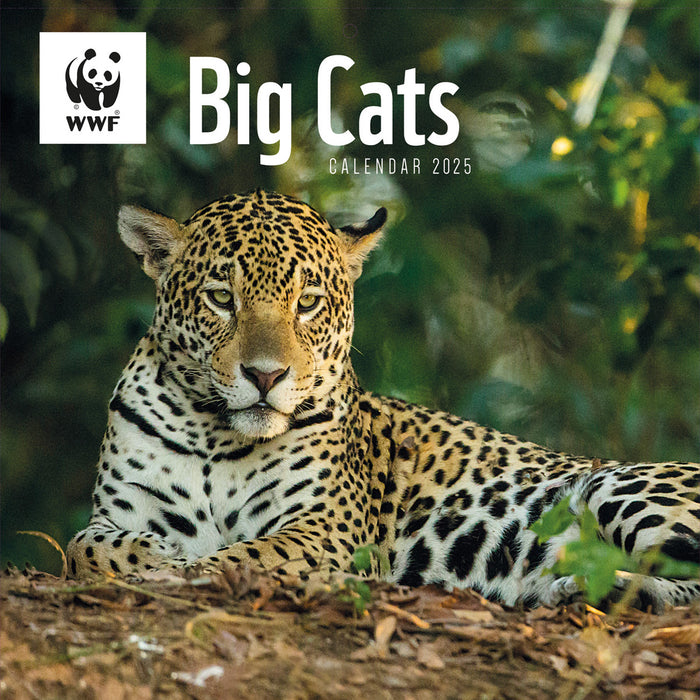 2025 WWF Big Cats Wall Calendar