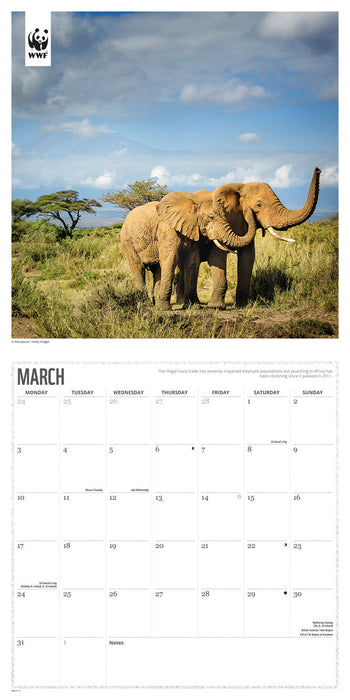 2025 WWF Elephants Wall Calendar