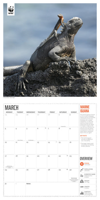 2025 WWF Amazing Wildlife Wall Calendar