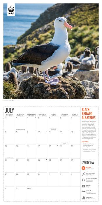 2025 WWF Amazing Wildlife Wall Calendar