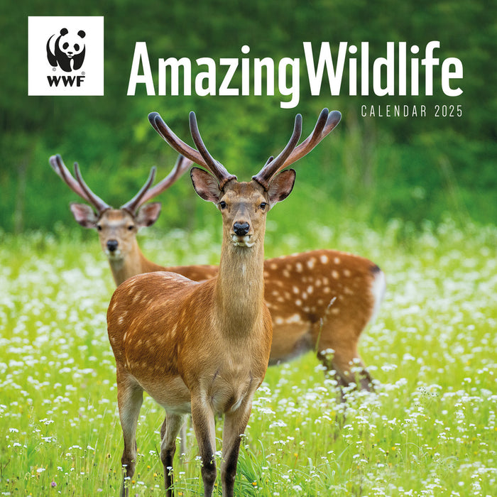 2025 WWF Amazing Wildlife Wall Calendar