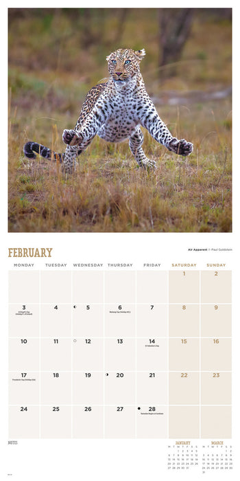 2025 Comedy Wildlife Photography Awards Wall Calendar