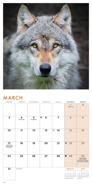 2025 Wolves Mini Wall Calendar