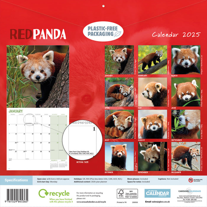 2025 Red Pandas Wall Calendar