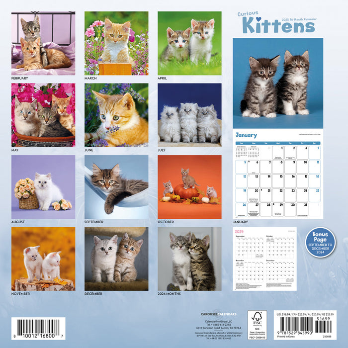 2025 Curious Kittens Wall Calendar