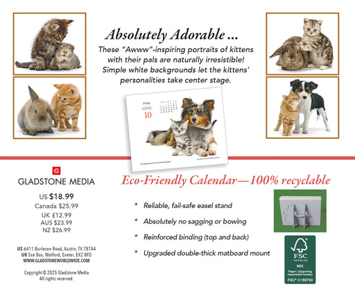Kittens and Friends 2026 Page-A-Day Calendar