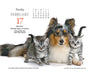 Kittens and Friends 2026 Page-A-Day Calendar