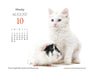 Kittens and Friends 2026 Page-A-Day Calendar