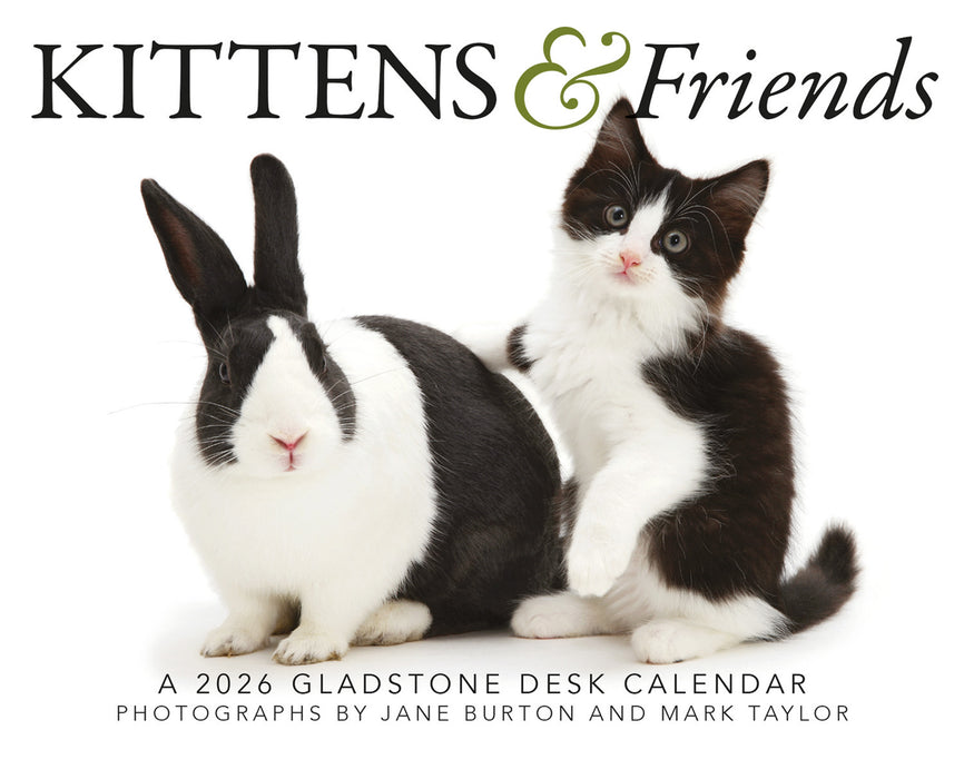 Kittens and Friends 2026 Page-A-Day Calendar