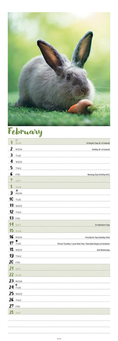 Bunnies 2026 Slimline Wall Calendar
