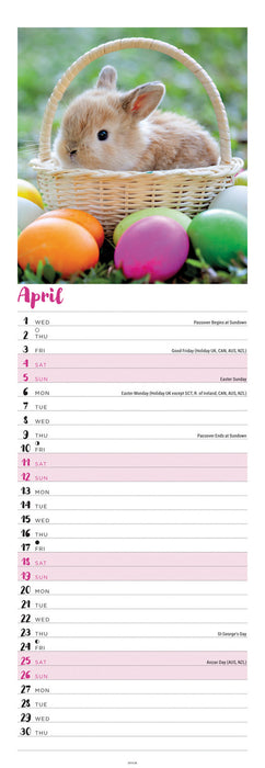 Bunnies 2026 Slimline Wall Calendar