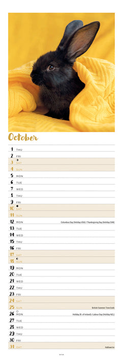 Bunnies 2026 Slimline Wall Calendar