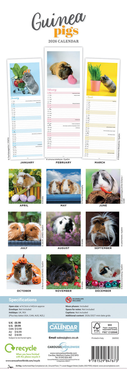 Guinea Pigs 2026 Slimline Wall Calendar