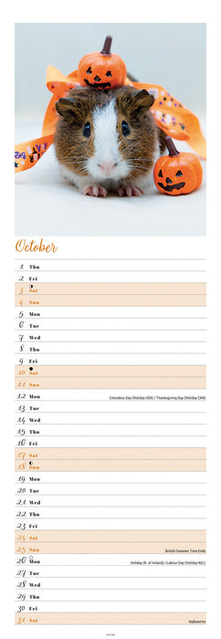 Guinea Pigs 2026 Slimline Wall Calendar
