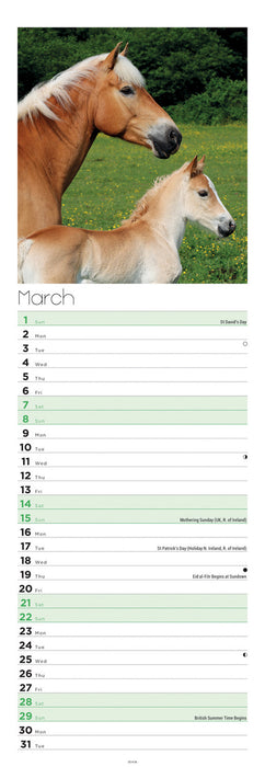 Horses 2026 Slimline Wall Calendar