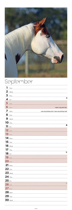 Horses 2026 Slimline Wall Calendar