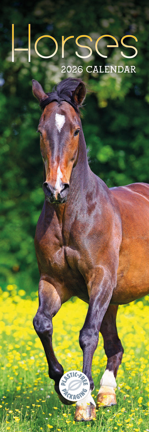 Horses 2026 Slimline Wall Calendar