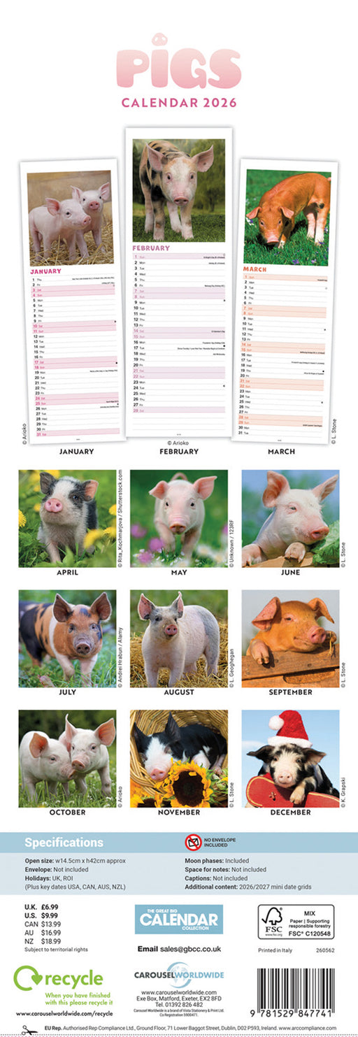 Pigs 2026 Slimline Wall Calendar