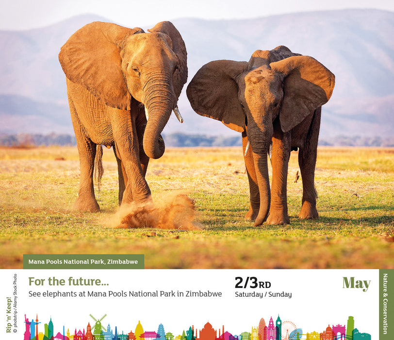 My Ultimate List 2026 Page-A-Day Calendar