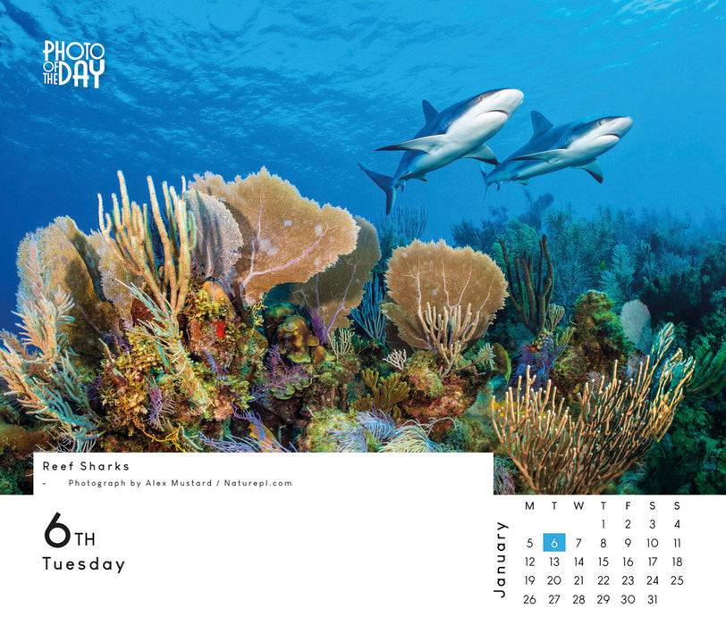 Photo of the Day 2026 Page-A-Day Calendar