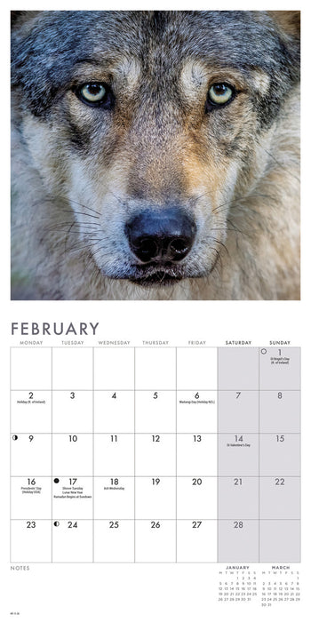 Wolves 2026 Mini Wall Calendar