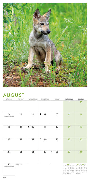 Wolves 2026 Mini Wall Calendar