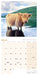 Scotland 2026 Mini Wall Calendar
