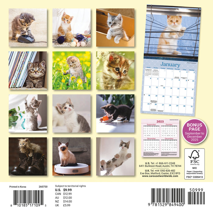 Curious Kittens 2026 Mini Wall Calendar