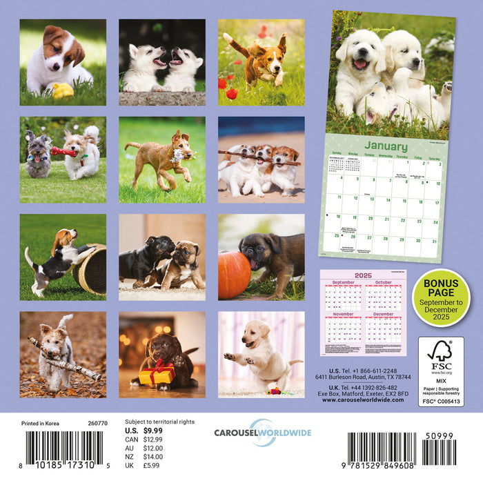 Playful Puppies 2026 Mini Wall Calendar