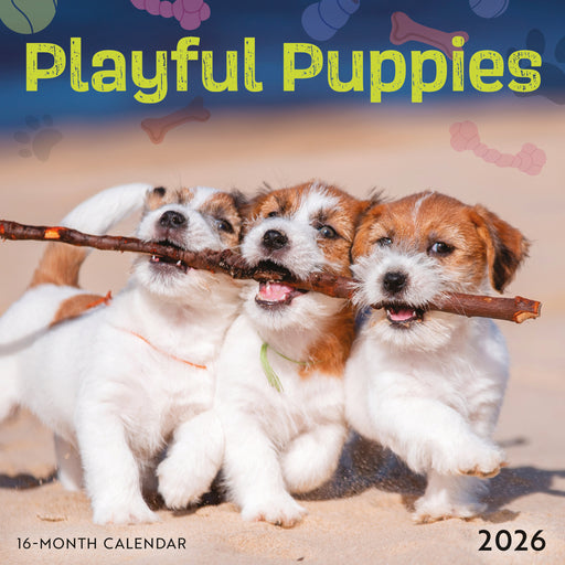 Playful Puppies 2026 Mini Wall Calendar