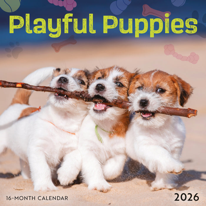 Playful Puppies 2026 Mini Wall Calendar