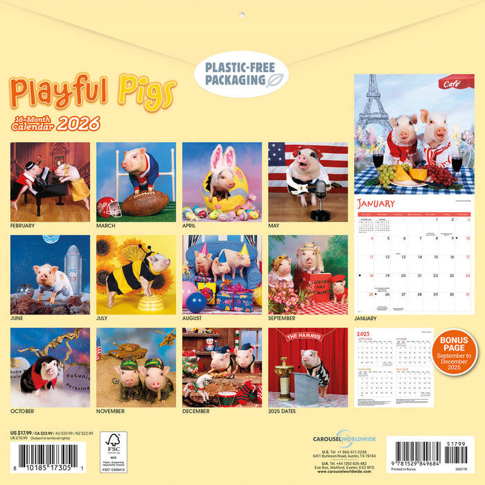 Pigs Playful 2026 Square Wall Calendar