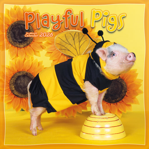 Pigs Playful 2026 Square Wall Calendar