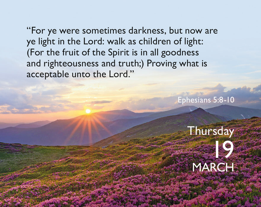 Bible Verse a Day 2026 Mini Page-A-Day Calendar