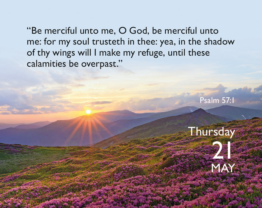 Bible Verse a Day 2026 Mini Page-A-Day Calendar