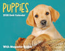 Puppies 2026 Mini Page-A-Day Calendar