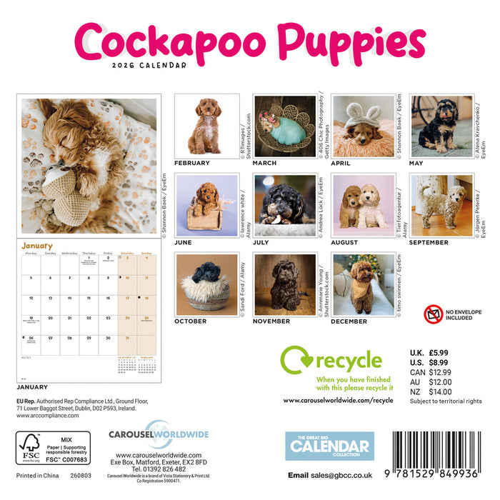 Cockapoo Puppies 2026 Mini Wall Calendar