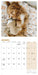 Cockapoo Puppies 2026 Mini Wall Calendar