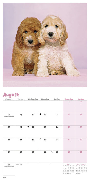 Cockapoo Puppies 2026 Mini Wall Calendar